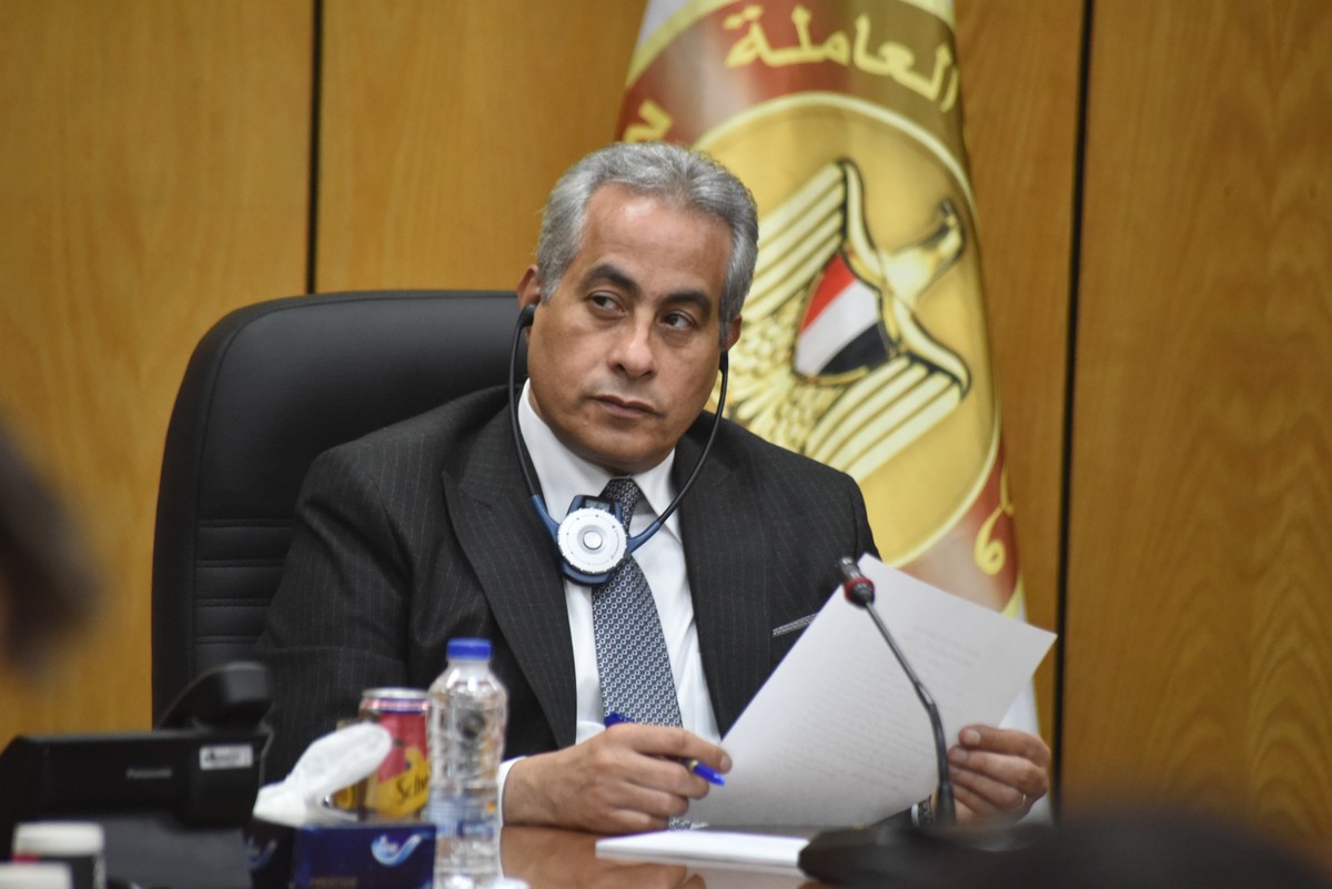 وزير القوى العامله 